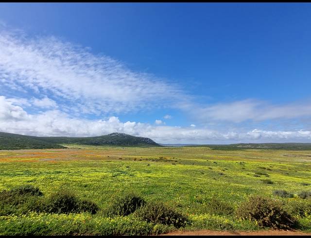 595M² VACANT LAND FOR SALE IN CALYPSO BEACH